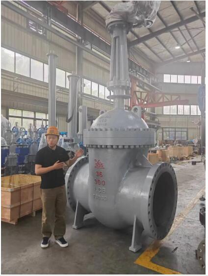 行走閥門江湖數(shù)十載！挺宇流體智能化新工廠預(yù)計(jì)2026年10月投入使用，開(kāi)啟文化傳播新篇章